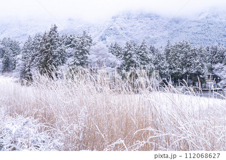 《神奈川県》雪景色の箱根・積雪の仙石原 112068627