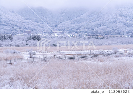 《神奈川県》雪景色の箱根・積雪の仙石原 《神奈川県》雪景色の箱根・積雪の仙石原 112068628