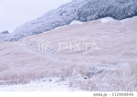《神奈川県》雪景色の箱根・積雪の仙石原 《神奈川県》雪景色の箱根・積雪の仙石原 112068640