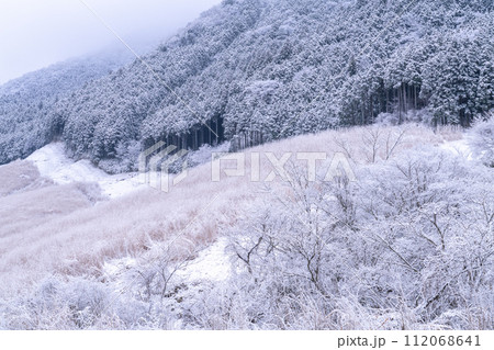 《神奈川県》雪景色の箱根・積雪の仙石原 《神奈川県》雪景色の箱根・積雪の仙石原 112068641