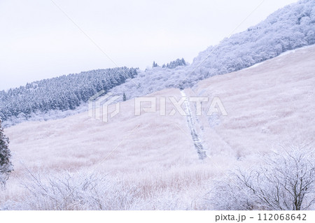 《神奈川県》雪景色の箱根・積雪の仙石原 112068642