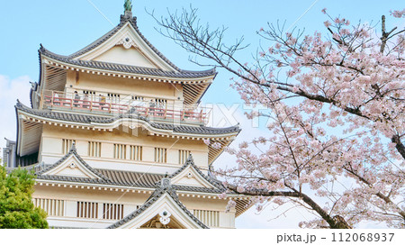 3月から4月の春の季節に青空の下に咲いた満開の桜の花と遠くに見える荘厳な千葉城と天守閣 112068937