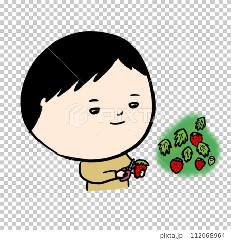 いちご狩りを楽しむ人 いちご狩りを楽しむ人 112068964