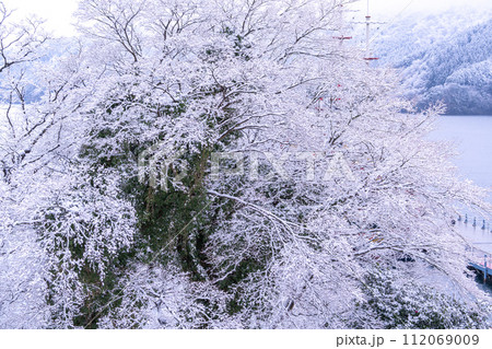 《神奈川県》雪景色の芦ノ湖・冬の箱根 112069009