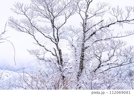 《神奈川県》雪景色の箱根・大観山の眺望 112069081