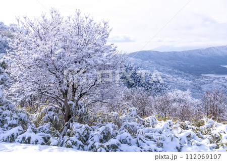 《神奈川県》雪景色の箱根・大観山の眺望 《神奈川県》雪景色の箱根・大観山の眺望 112069107