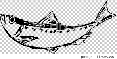 Sardine fish ink painting illustration Sardine fish ink painting illustration 112069390
