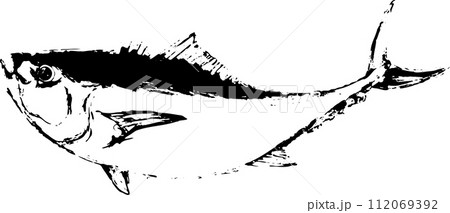 カンパチの・マグロ魚の墨絵イラスト 112069392