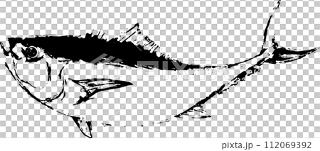 カンパチの・マグロ魚の墨絵イラスト 112069392