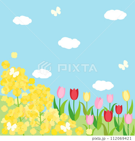 菜の花とチューリップと青空の春の丘のカード　アスペクト比1：1バージョン 112069421
