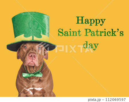 Happy St. Patrick's Day. Lovable, pretty puppy Happy St. Patrick's Day. Lovable, pretty puppy 112069597