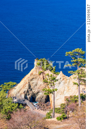 （静岡県）早咲き桜咲く西伊豆黄金崎 112069637