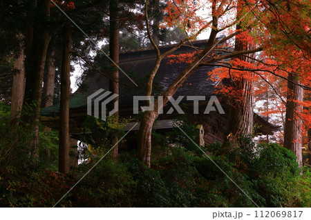 世界遺産　平泉中尊寺の紅葉 112069817