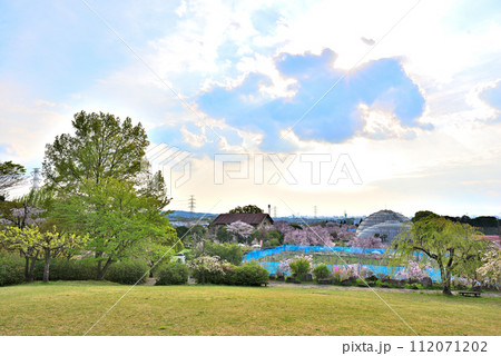 《愛知県》名古屋市東谷山フルーツパークの風景 112071202