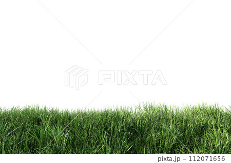 Close up view of lush green grass fresh nature isolated on white background with clipping path 3d render 112071656