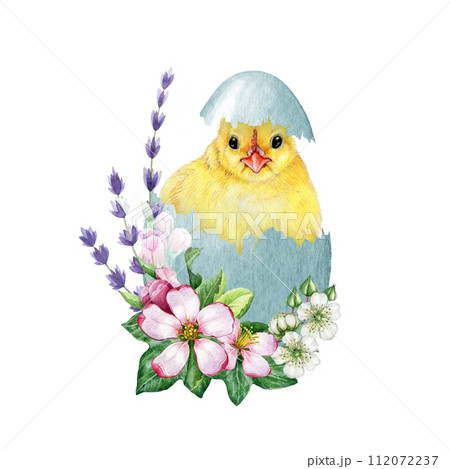 Cute chick in cracked egg shell with flower decor. Watercolor painted illustration. Hand drawn small chicken hatched from the egg with spring garden flowers. Easter decor element. White background 112072237