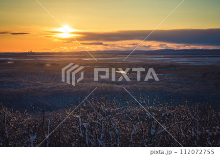 夕日に照らされる釧路湿原の霧氷 夕日に照らされる釧路湿原の霧氷 112072755
