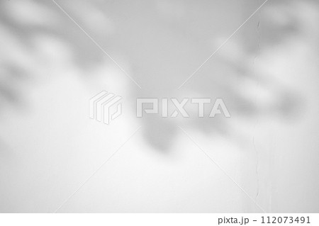Abstract natural tree leaves shadow on white wall background Abstract natural tree leaves shadow on white wall background 112073491