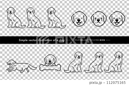 可愛的金毛犬/寵物插圖集，具有手寫的感覺，可以用作插圖或圖示。 112075165