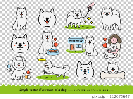Cute pet illustration set of a white Shiba Inu with a handwritten feel that can be used as illustrations or icons_White background Cute pet illustration set of a white Shiba Inu with a handwritten feel that can be used as illustrations or icons_White background 112075647