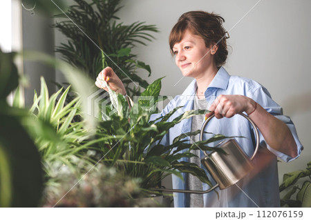 A young woman enjoys caring for flowers. Watering indoor plants and admiring them. A young woman enjoys caring for flowers. Watering indoor plants and admiring them. 112076159
