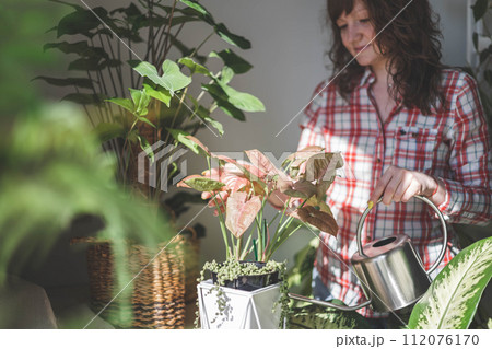 A young woman enjoys caring for flowers. Watering indoor plants and admiring them. 112076170
