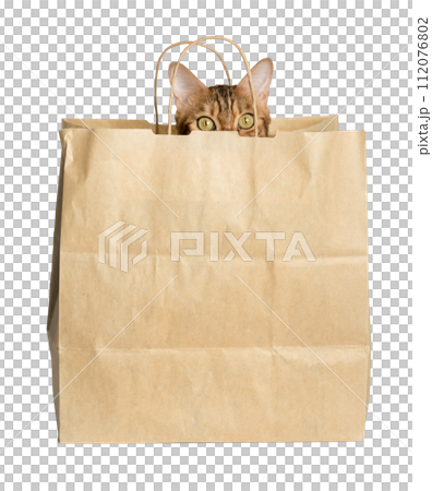 A cute red cat looks out of a paper bag. A cute red cat looks out of a paper bag. 112076802