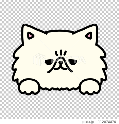A cute Persian that suddenly shows its face A cute Persian that suddenly shows its face 112078870