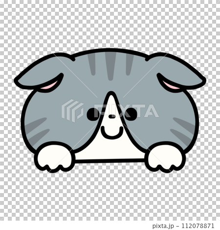 A cute Scottish fold that shows off its face A cute Scottish fold that shows off its face 112078871