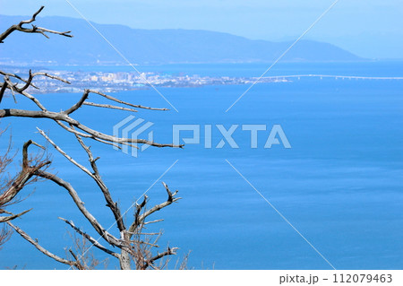 池の内展望地　枯れ木越しに見た綺麗な琵琶湖の風景 112079463