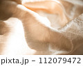 fabric 112079472