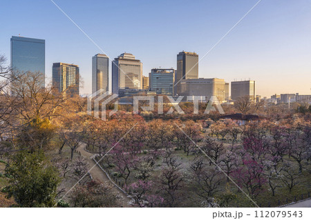 月見櫓跡から見える大阪城梅林のすばらしい朝景 月見櫓跡から見える大阪城梅林のすばらしい朝景 112079543