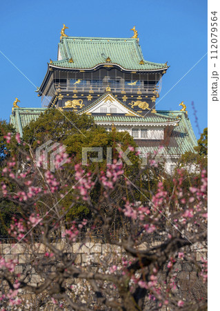 大阪城梅林から望む大阪城天守閣 112079564