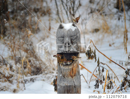 Sparrows (lat. Passer domesticus)  in a bird feeder on a snowy winter day. Photo project " Birds." Birds of Eastern Siberia. 112079718