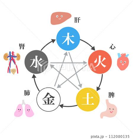 四柱推命・陰陽五行 五臓の図 四柱推命・陰陽五行 五臓の図 112080135
