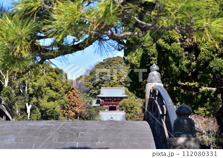鎌倉・太鼓橋から見た鶴岡八幡宮 鎌倉・太鼓橋から見た鶴岡八幡宮 112080331