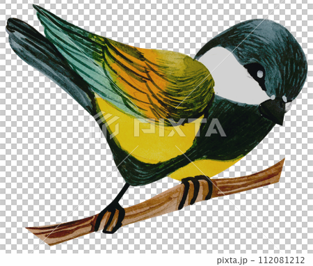 Little Bird watercolor hand paint 112081212