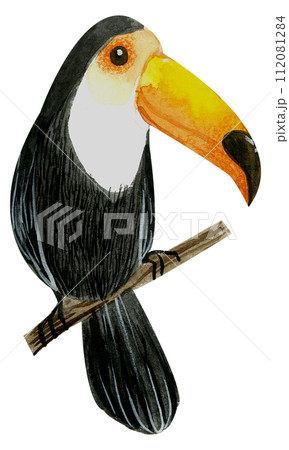 Little Bird watercolor hand paint Little Bird watercolor hand paint 112081284