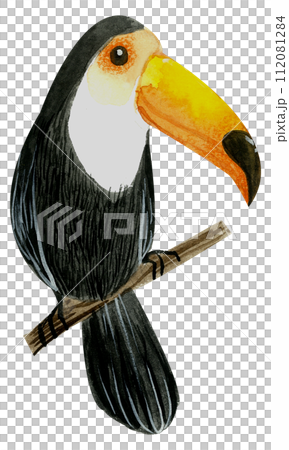 Little Bird watercolor hand paint Little Bird watercolor hand paint 112081284