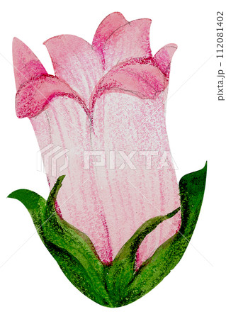 Watercolor Floral Botanical hand paint 112081402
