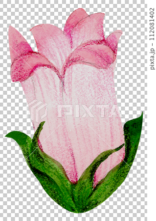 Watercolor Floral Botanical hand paint 112081402
