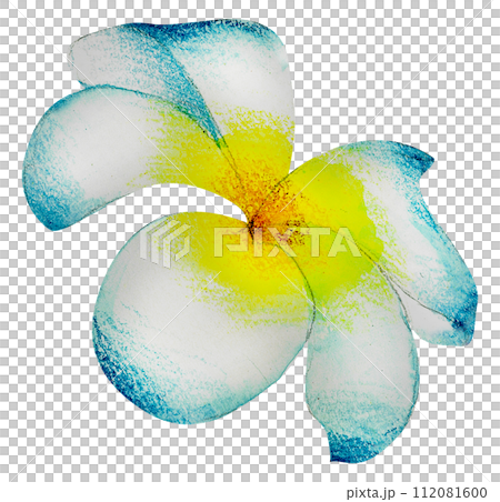 Watercolor Floral Botanical hand paint 112081600