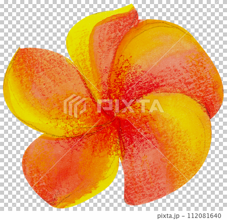 Watercolor Floral Botanical hand paint 112081640