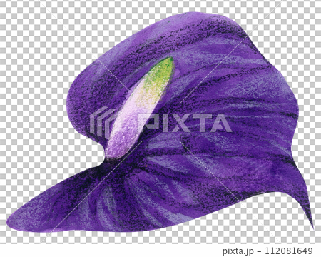 Watercolor Floral Botanical hand paint 112081649