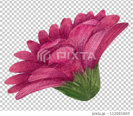 Watercolor Floral Botanical hand paint 112081693