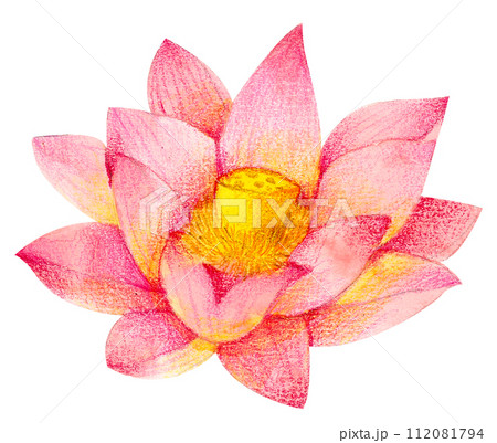 Watercolor Floral Botanical hand paint 112081794