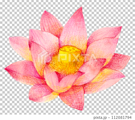 Watercolor Floral Botanical hand paint 112081794