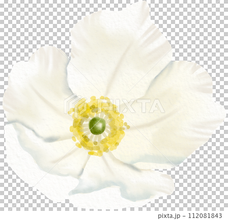 Watercolor Floral Botanical hand paint 112081843