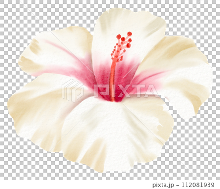 Watercolor Floral Botanical hand paint Watercolor Floral Botanical hand paint 112081939