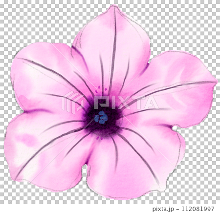 Watercolor Floral Botanical hand paint 112081997